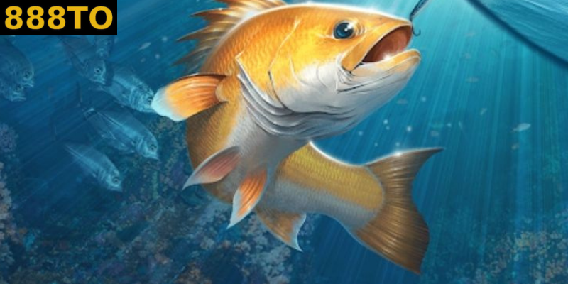 Trước khi ra biển,bản cần tìm hiểu kỹ năng bắt cá